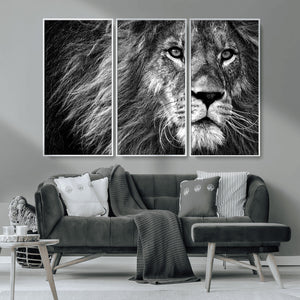 Black and White Lion Canvas Wall Art Print – Wildlife