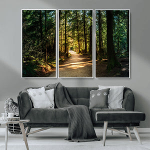 Sunlit Forest Pathway Canvas Print | 3 Panel Large Nature