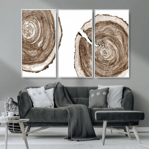 Wood Tree Ring Wall Art Canvas Prints, Tree Rings –