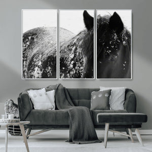 Black Horse in Snow Canvas Print | Winter Horse Wall Art |