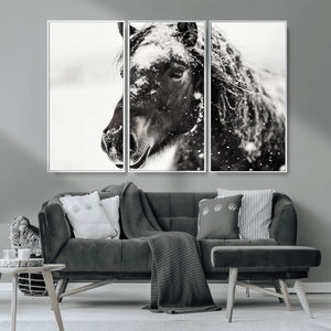 Framed Black and White Horse Wall Art | Ready to Hang and