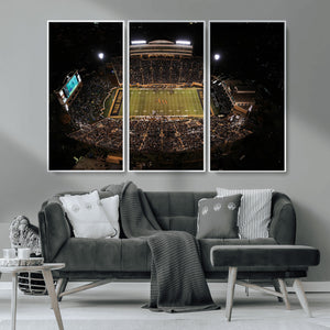 Wake Forest University Demon Deacons Canvas Printi, Football