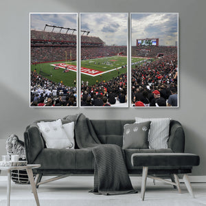 Rutgers Scarlet Knights Football Team Print - SHI Stadium,