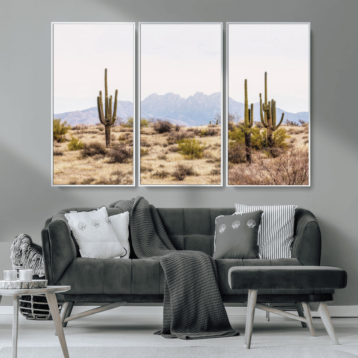 Arizona Desert Wall Art Print | Arizona Desert Canvas Print