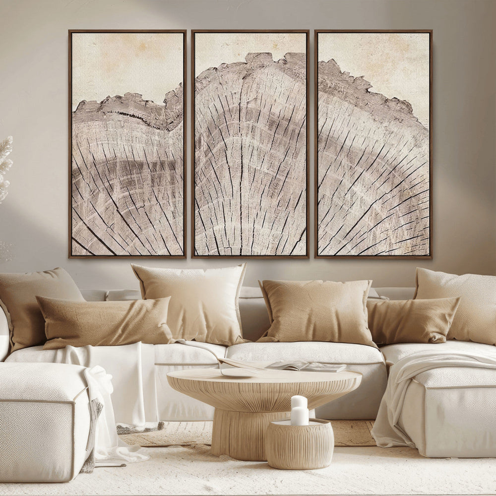 Tree Ring Wall Art Triptych, Rustic Wood Ring Canvas Print,