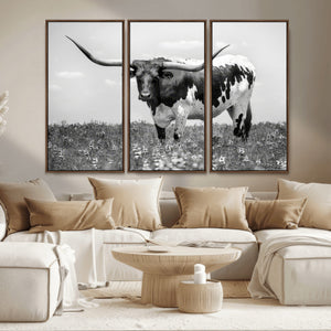 Texas Black White Highland Longhorn Cow Wall Art Canvas