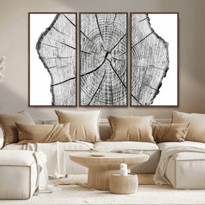 Rustic Tree Ring Wall Art Canvas Print – Framed and Ready to