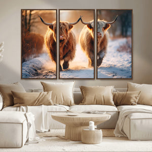 Scottish Highland Cow Horn Farm Wall Art Canvas Print