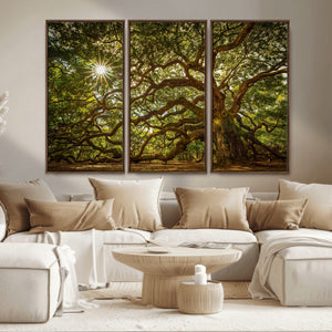 Ancient Angel Oak Tree Art Sunburst Canvas Print-
