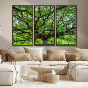 Angel Oak Tree Wall Art Canvas Print – Framed Majestic