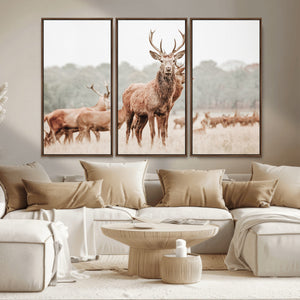 Rustic Nature Wall Art Canvas Print – Stag Woodland Framed