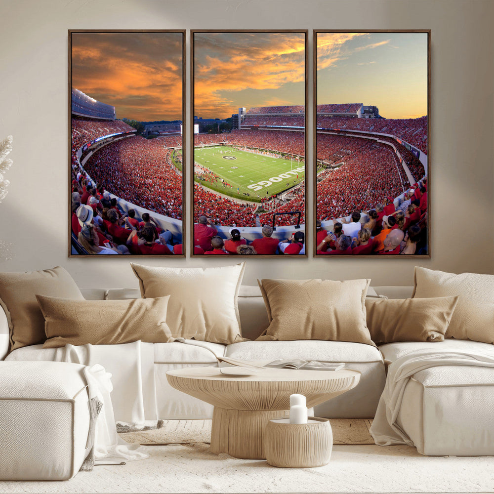 Dooley Stadium Wall Art, Sports Arena Canvas Print, Dooley