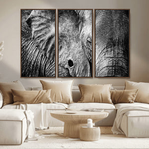 Wild Old Elephant Wall Art Canvas Print