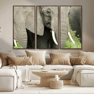 Wild Elephant Wall Art Canvas Print