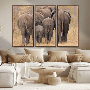 Wild Elephant Wall Art Canvas Print