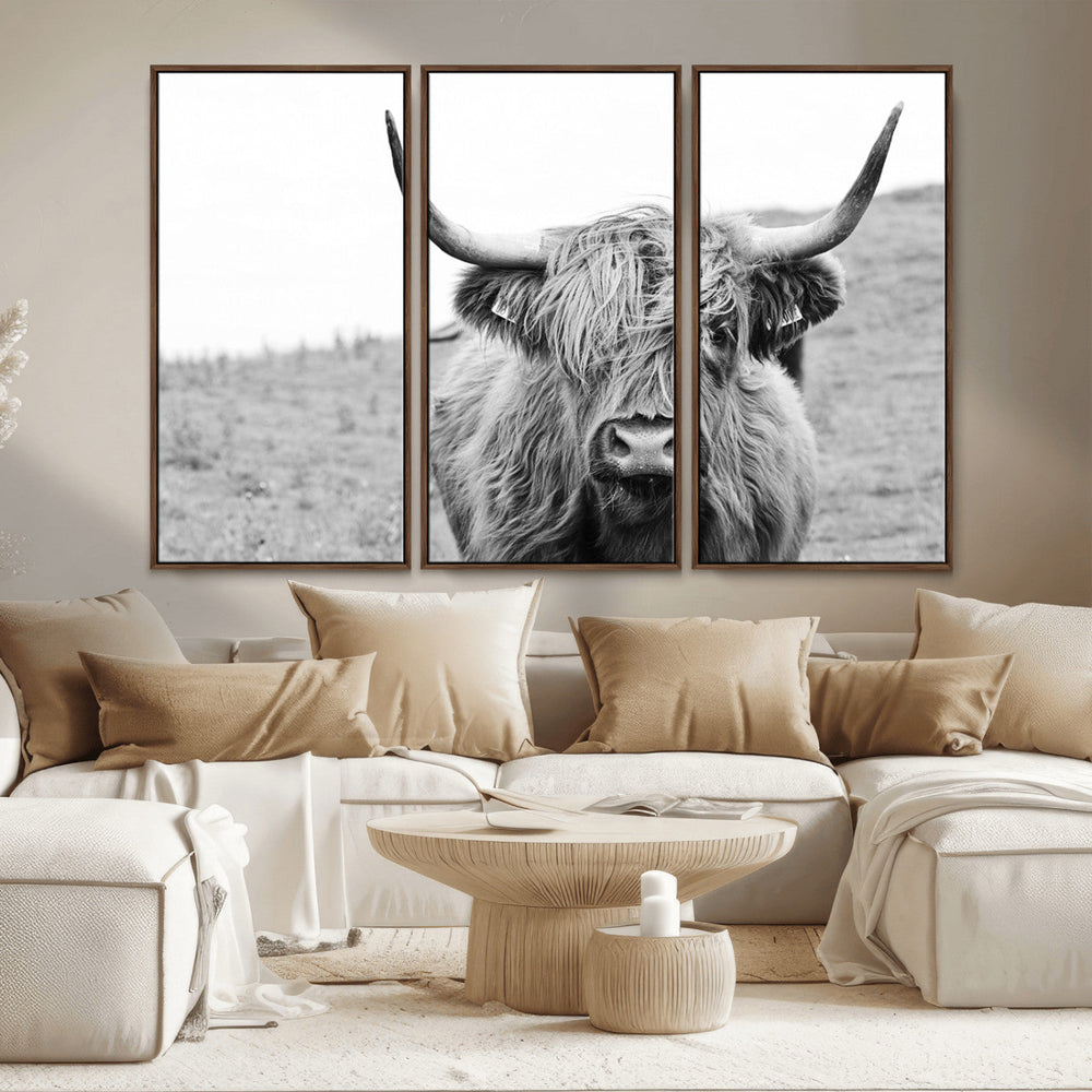 Newfoundland Cow Art Wall Art, Black White Cow Art Wall Art