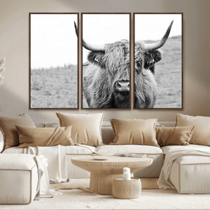 Newfoundland Cow Art Wall Art, Black White Cow Art Wall Art
