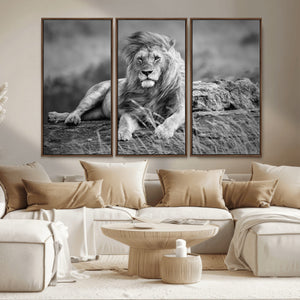 King Forest Lion Wall Art Canvas Print – Framed Majestic
