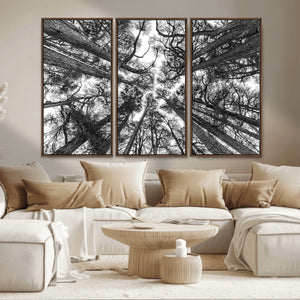 Trees Contemporary Art Canvas Print