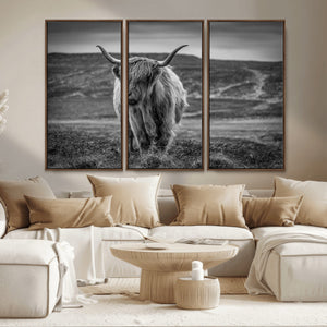Fluffy Cattle Wall Art Print, Highland Cow Canvas, Framed