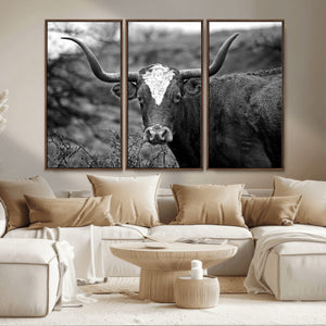Western Home Wall Art Canvas Print, Framed Texas Longhorn