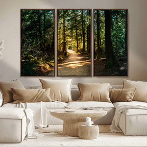 Sunlit Forest Pathway Canvas Print | 3 Panel Large Nature