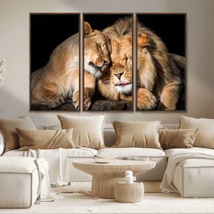 Lion and Lioness Wall Art Canvas Print – Framed African