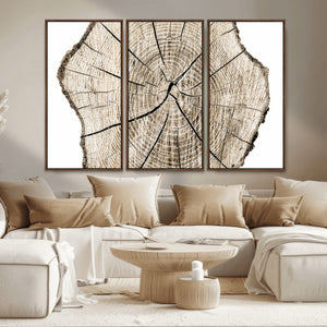Abstract Wood Tree Ring Wall Art - Ready to Hang Minimalist