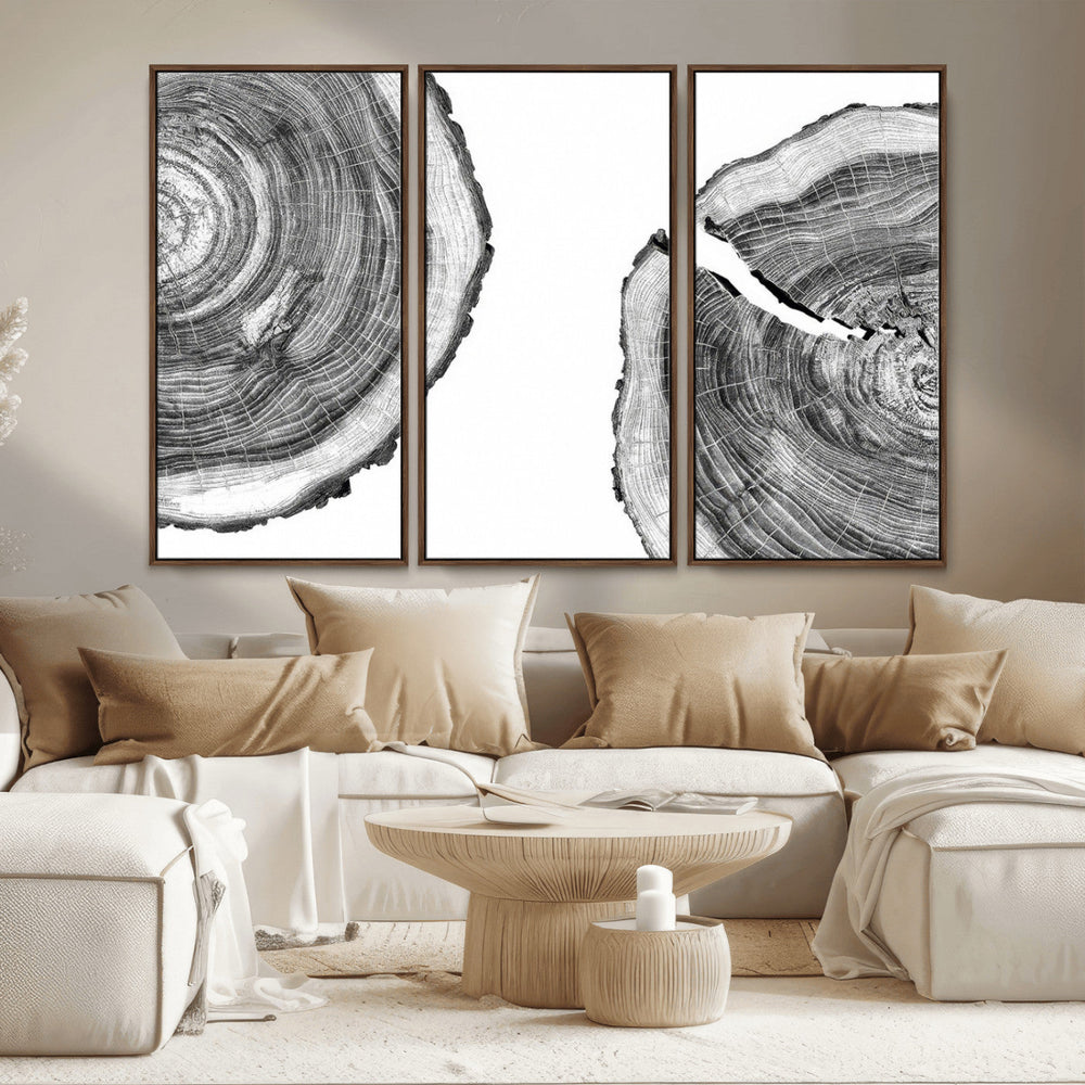 Abstract Large Tree Rings – Minimalist Black and White Wood