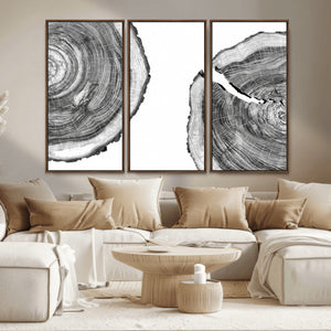 Abstract Large Tree Rings – Minimalist Black and White Wood