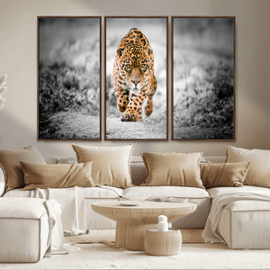 Jaguar Wall Art Canvas Print - Majestic Big Cat in Focused