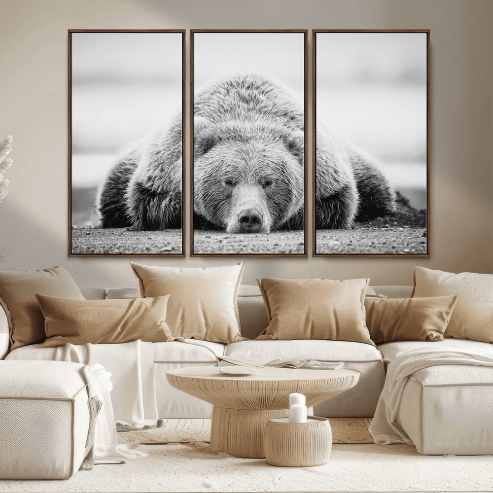 Resting Grizzly Bear Wall Art Canvas Print – Majestic Lazy
