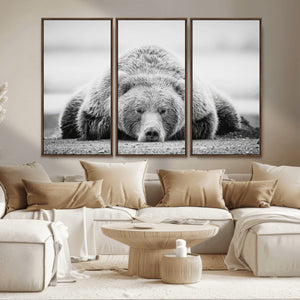 Resting Grizzly Bear Wall Art Canvas Print – Majestic Lazy