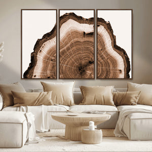 Rustic Wood Rings Wall Art | Nature-Inspired Tree Ring
