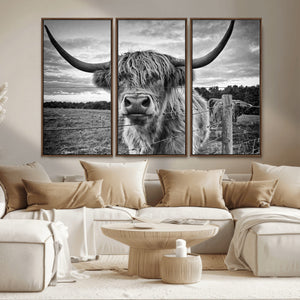 Scottish Highland Cow Wall Art Canvas Print | Ready to Hang