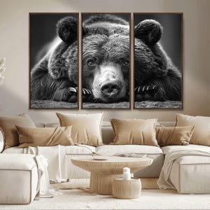 Resting Grizzly 399 Bear Canvas Print | Ready to Hang Wall