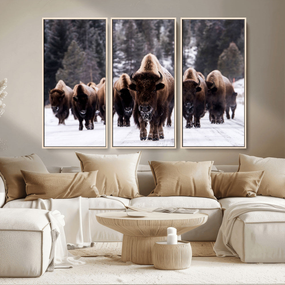 Bison Wall Art Canvas Print- Bison Herd Canvas Wall Art –