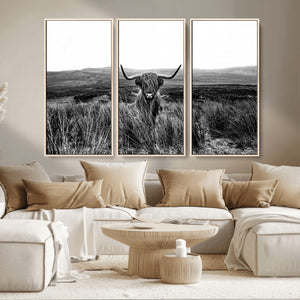 Black and White Highland Cow Canvas Wall Art, Longhorn