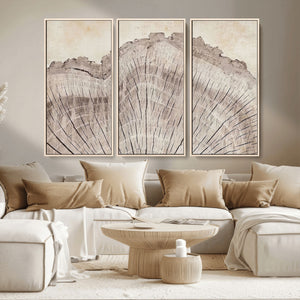 Tree Ring Wall Art Triptych, Rustic Wood Ring Canvas Print,