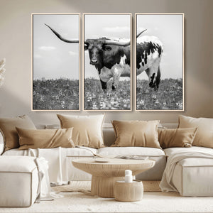 Texas Black White Highland Longhorn Cow Wall Art Canvas