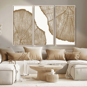 Rustic Brown Tree Ring Wall Art Canvas Print – Framed and