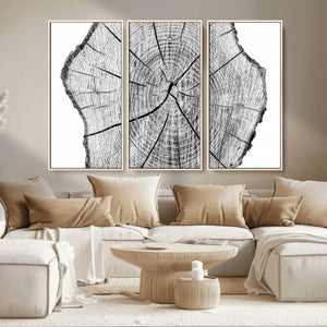 Rustic Tree Ring Wall Art Canvas Print – Framed and Ready to