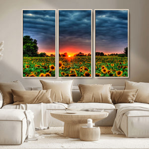 Golden Sunflower Field at Sunset – Breathtaking Sky and