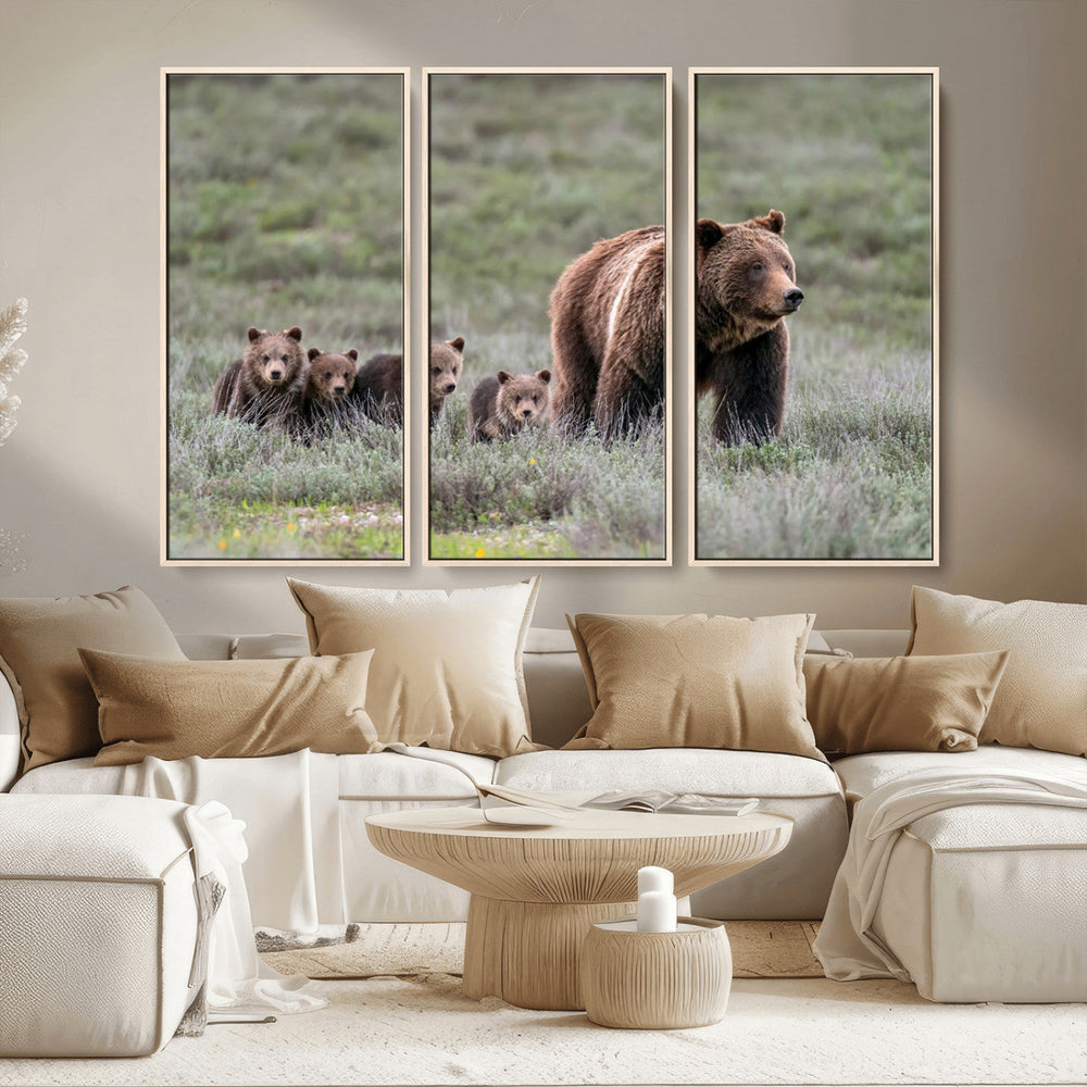 Wildlife Photography of 399 Grizzly Bear Cubs | Queen of the