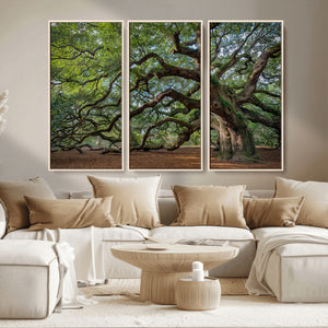 Historic Tree Wall Art – Framed Mossy Branch Canvas Artwork,
