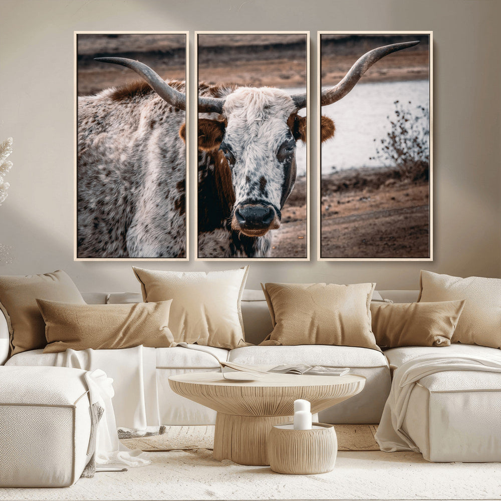 Texas Longhorn Wall Art Canvas Print – Framed Spotted Bull