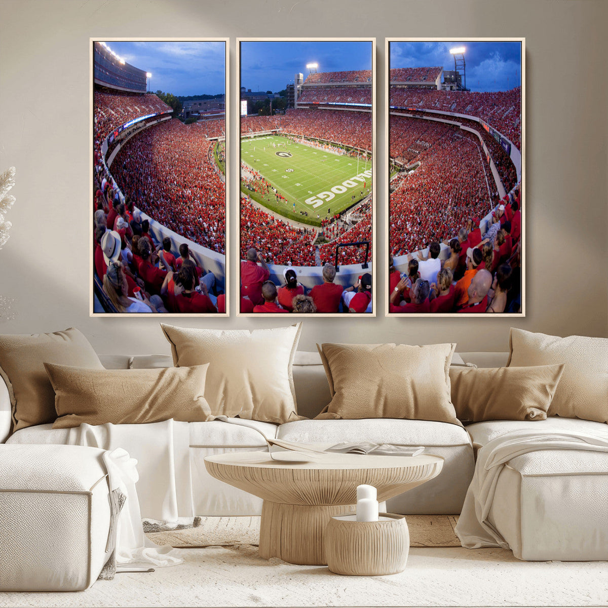 Dooley Stadium Wall Art, Sports Arena Canvas Print, Dooley