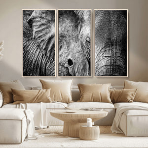 Wild Old Elephant Wall Art Canvas Print