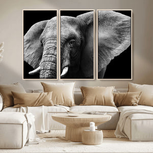 Big Elephant Close Up Wall Art Canvas Print
