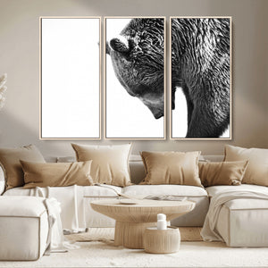 Black and White Grizzly 399 Bear Canvas Print Wall Art |